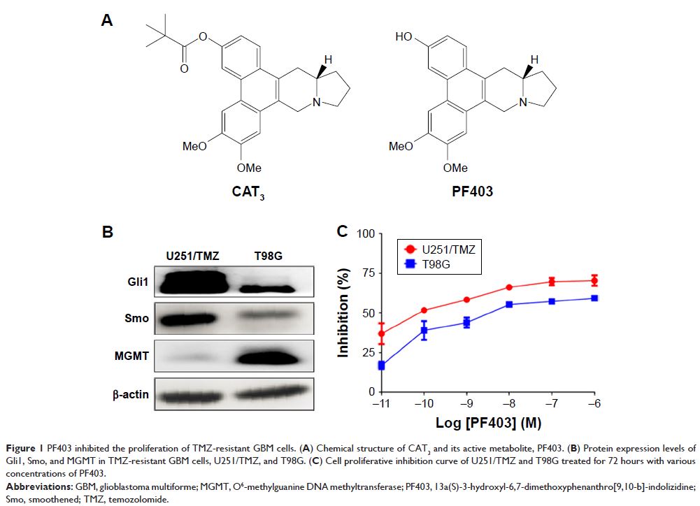 Figure 1 PF403 inhibited the proliferation of TMZ-resistant GBM cells...