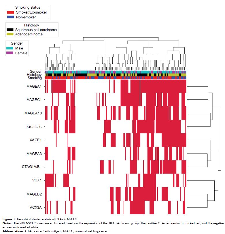 Figure 3 Hierarchical cluster analysis of CTAs in NSCLC.