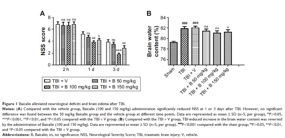 Figure 1 Baicalin alleviated neurological deficits and brain edema after TBI.
