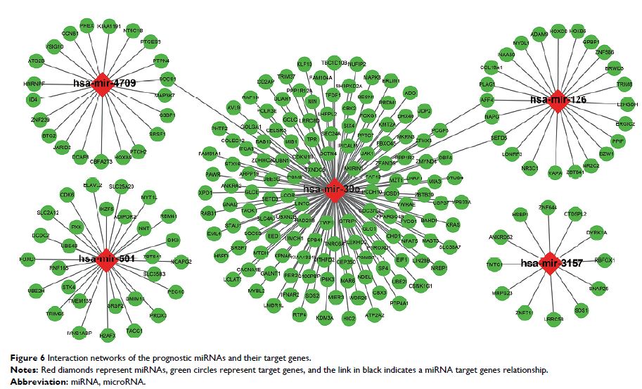 Figure 6 Interaction networks of the prognostic miRNAs and their target genes.