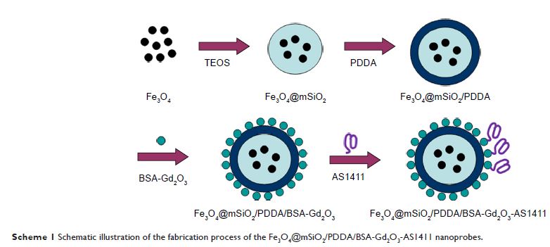 Scheme 1 Schematic illustration of the fabrication process of the Fe3O4@mSiO2/PDDA/BSA -Gd2O3-AS 1411 nanoprobes.