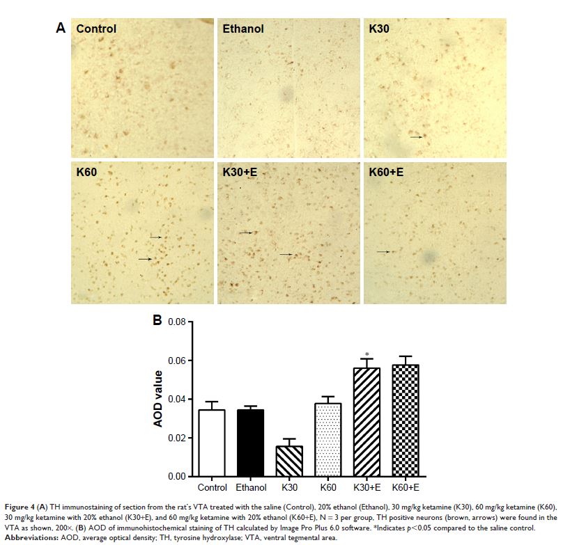 Figure 4 (A) TH immunostaining of section from the rat’s VTA treated with the saline (Control)... Figure 4 (A) TH immunostaining of section from the rat’s VTA treated with the saline (Control)...