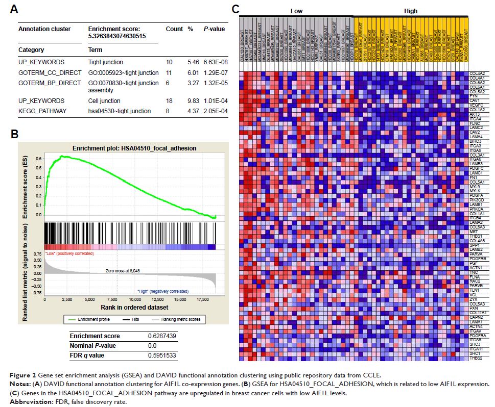 Figure 2 Gene set enrichment analysis (GSEA) and DAVID functional...