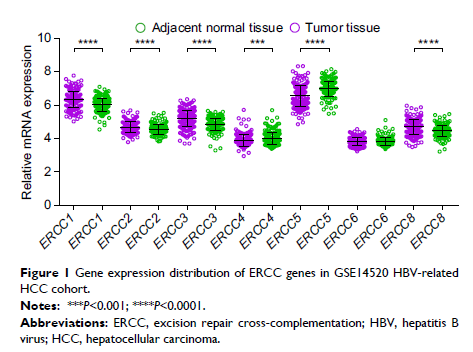 Figure 1 Gene expression distribution of ERCC genes in GSE14520 HBV-related HCC cohort.