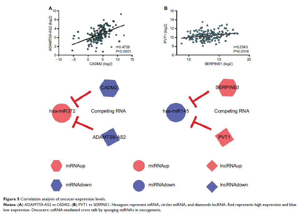 Figure 5 Correlation analysis of oncocer-expression levels.
