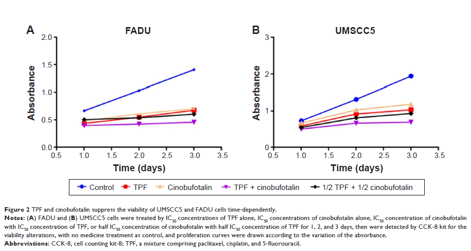 Figure 2 TPF and cinobufotalin suppress the viability of UMSCC5 and FADU cells time-dependently.