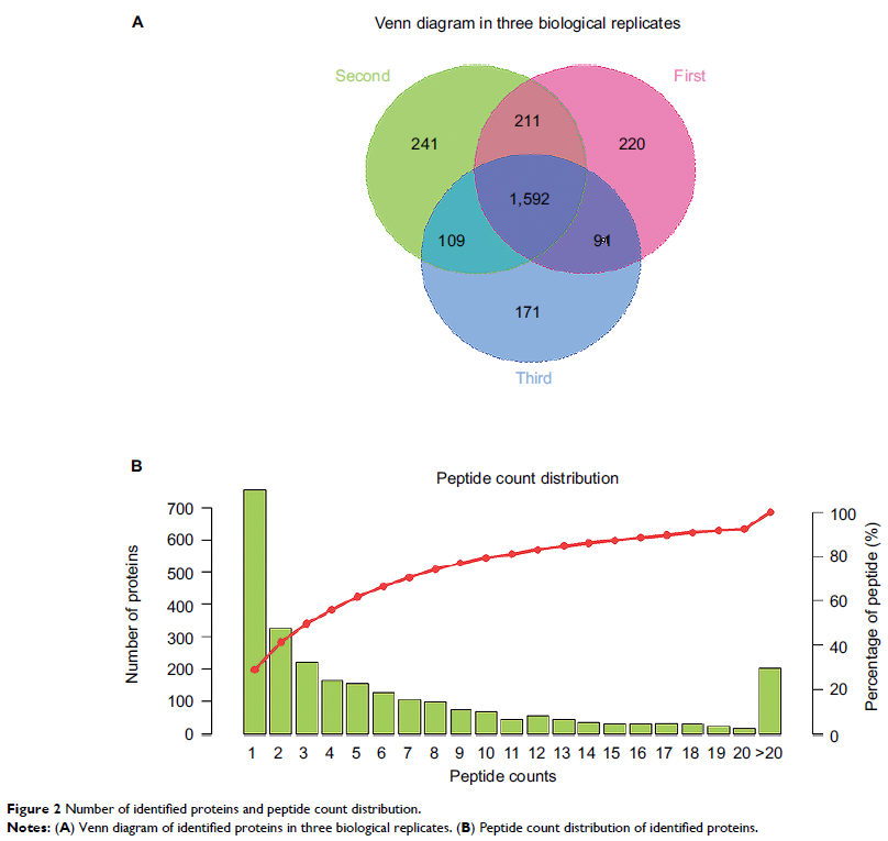 Figure 2 Number of identified proteins and peptide count distribution.