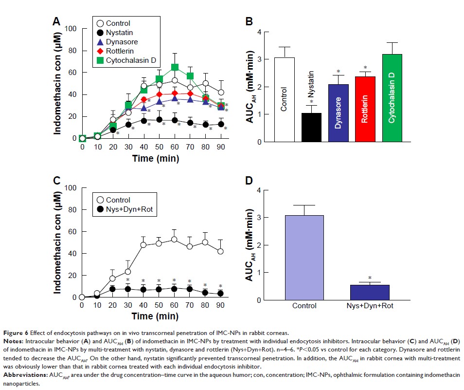 Figure 6 Effect of endocytosis pathways on in vivo transcorneal penetration of IMC-NPs in rabbit corneas.