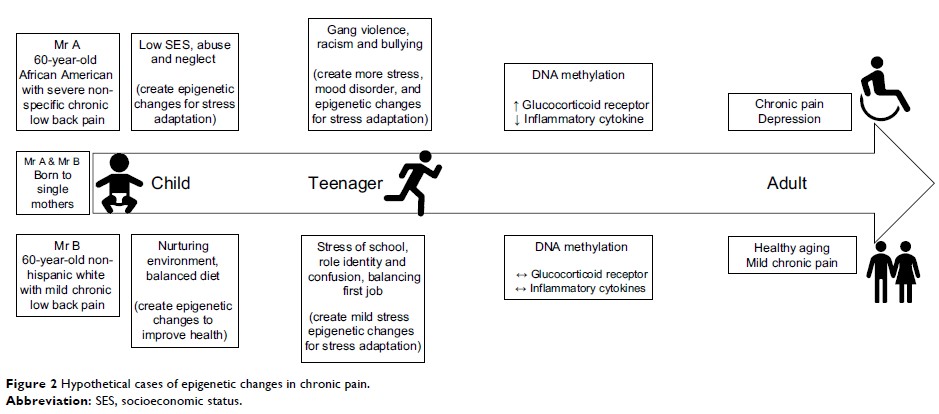 Figure 2 Hypothetical cases of epigenetic changes in chronic pain.