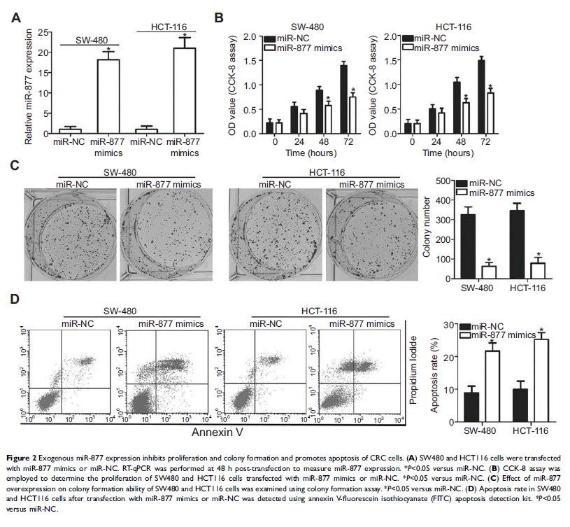 Figure 2 Exogenous miR-877 expression inhibits proliferation and...