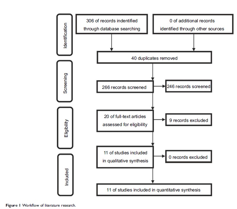 Figure 1 Workflow of literature research.