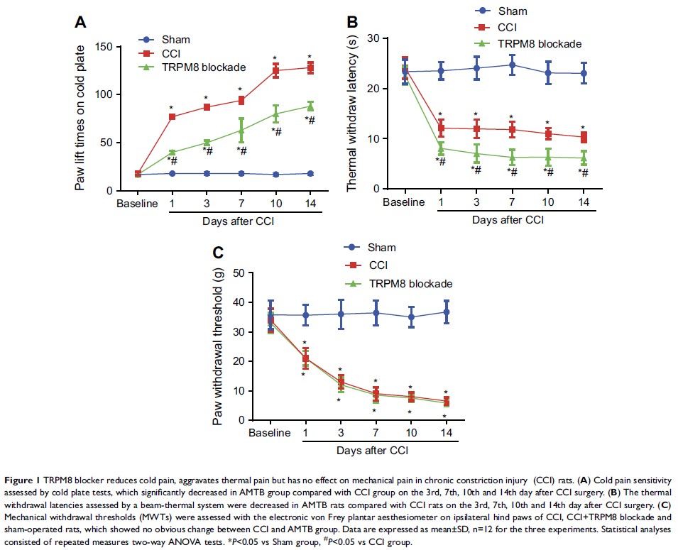 Figure 1 TRPM8 blocker reduces cold pain, aggravates thermal pain but has no effect on...