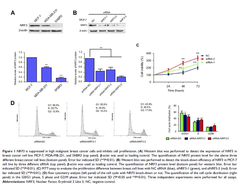 Figure 1 NRF3 is suppressed in high malignant breast cancer cells and...