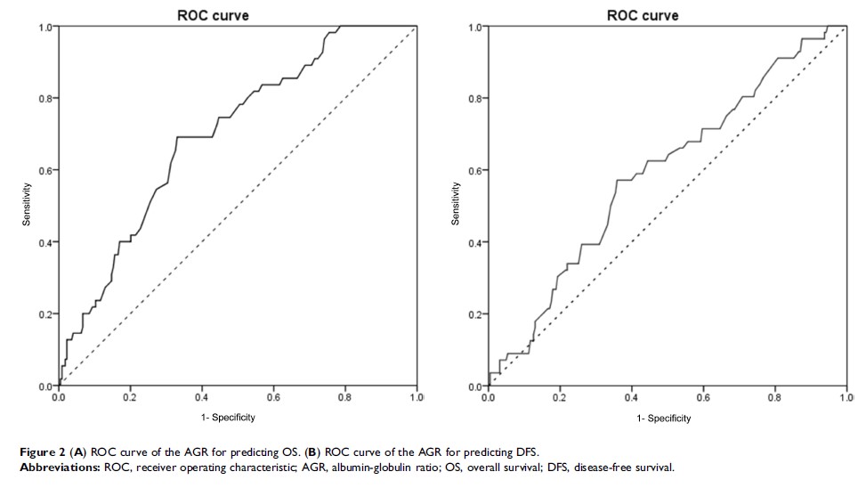 Figure 2 (A) ROC curve of the AGR for predicting OS. (B) ROC curve of the AGR for predicting DFS.