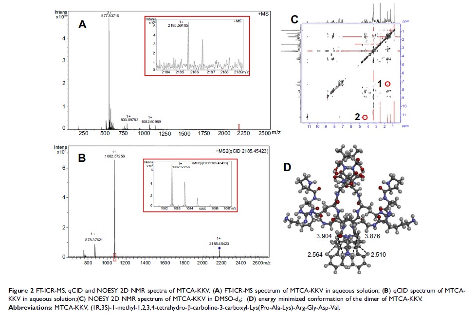 Figure 2 FT-ICR-MS, qCID and NOESY 2D NMR spectra of MTCA-KKV...