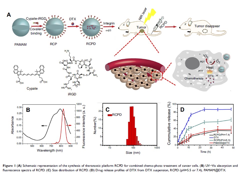 Figure 1 (A) Schematic representation of the synthesis of theranostic platform RCPD for...