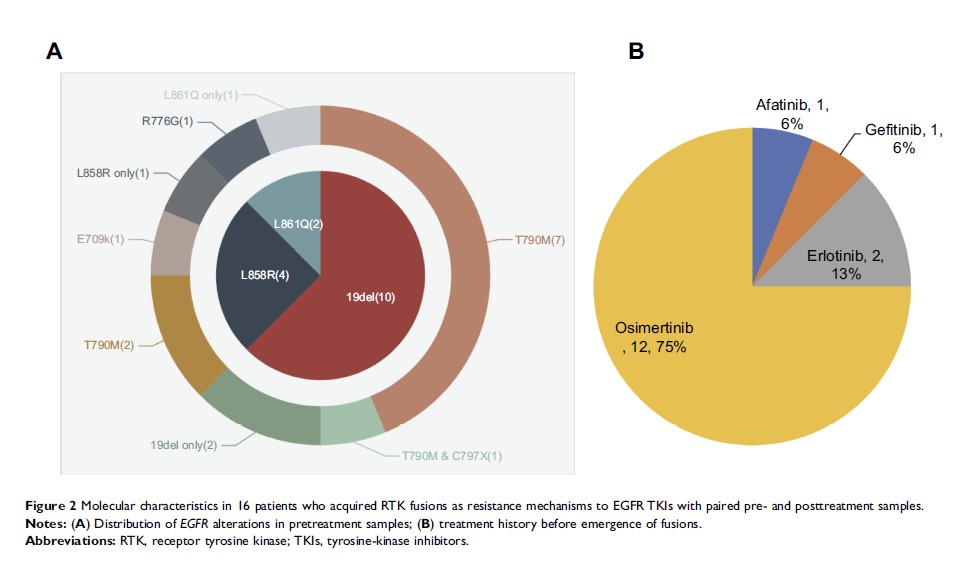 Figure 2 Molecular characteristics in 16 patients who acquired RTK fusions as...