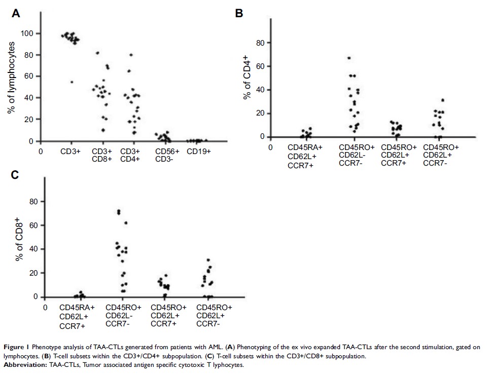 Figure 1 Phenotype analysis of TAA-CTLs generated from patients with AML...