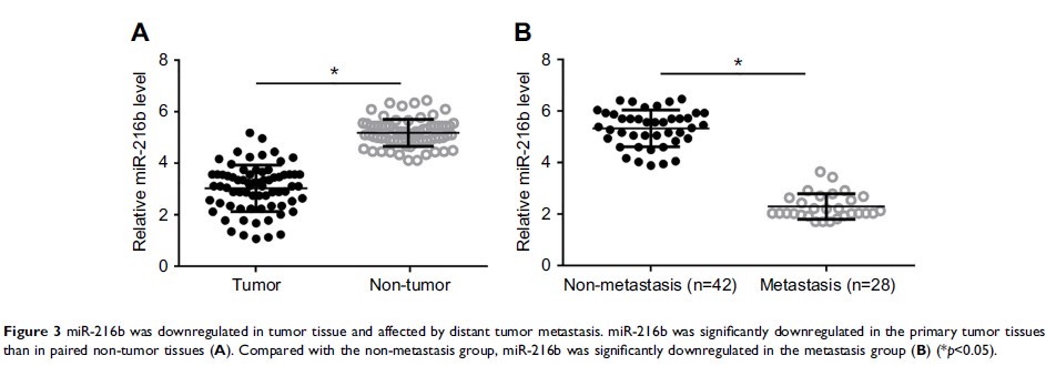 Figure 3 miR-216b was downregulated in tumor tissue and...