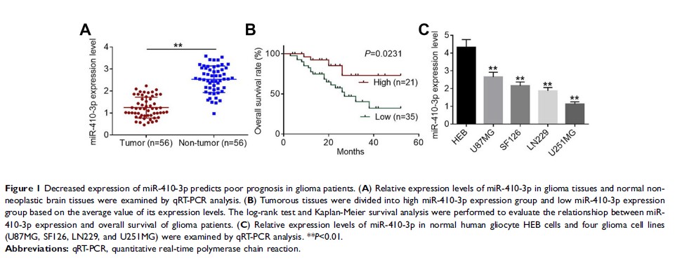 Figure 1 Decreased expression of miR-410-3p predicts poor prognosis in glioma patients...