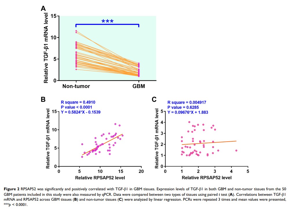 Figure 2 RPSAP52 was significantly and positively correlated with...