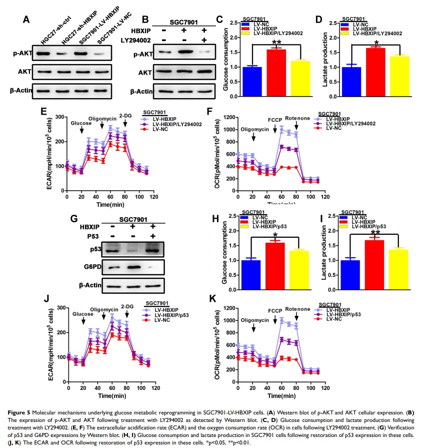 Figure 5 Molecular mechanisms underlying glucose metabolic reprogramming in...
