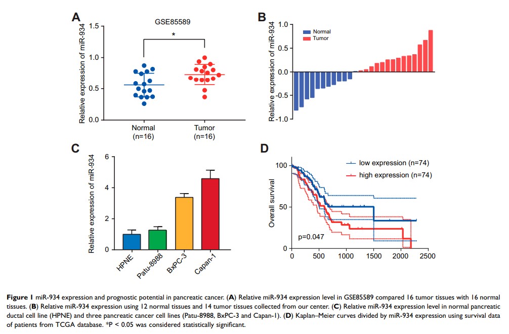 Figure 1 miR-934 expression and prognostic potential in pancreatic cancer...
