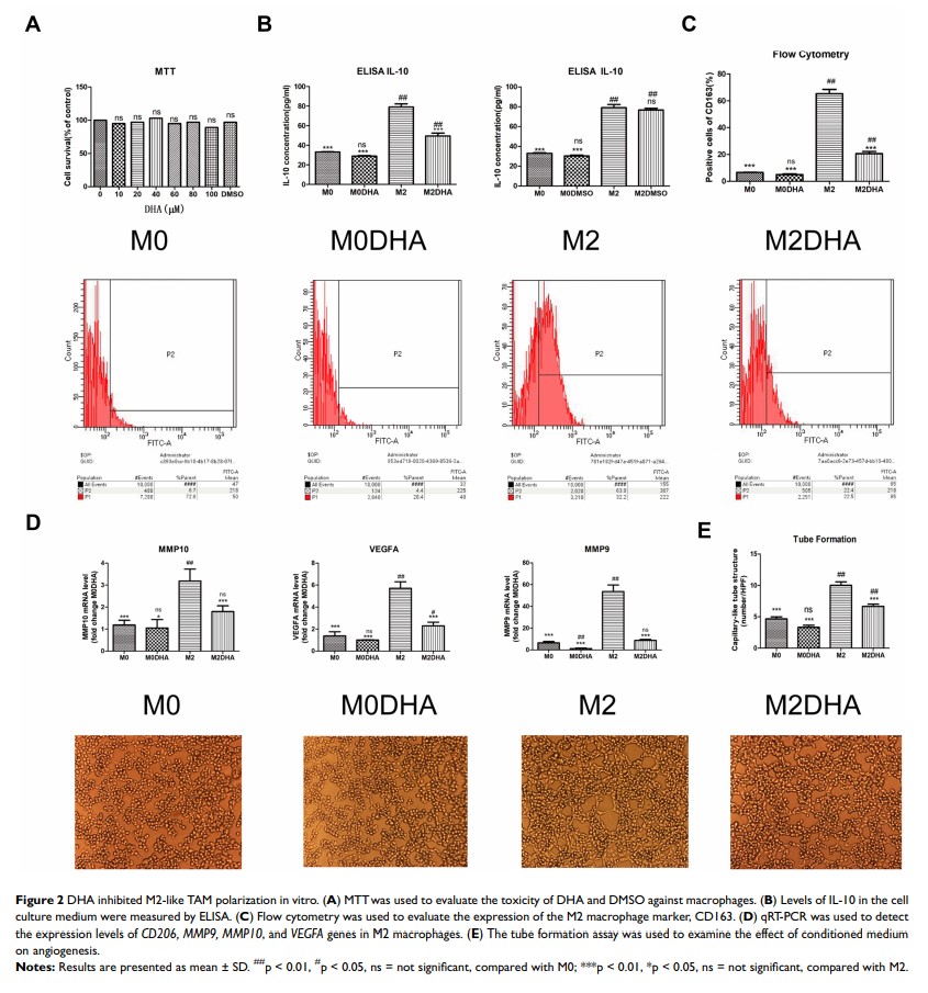 Figure 2 DHA inhibited M2-like TAM polarization in vitro...