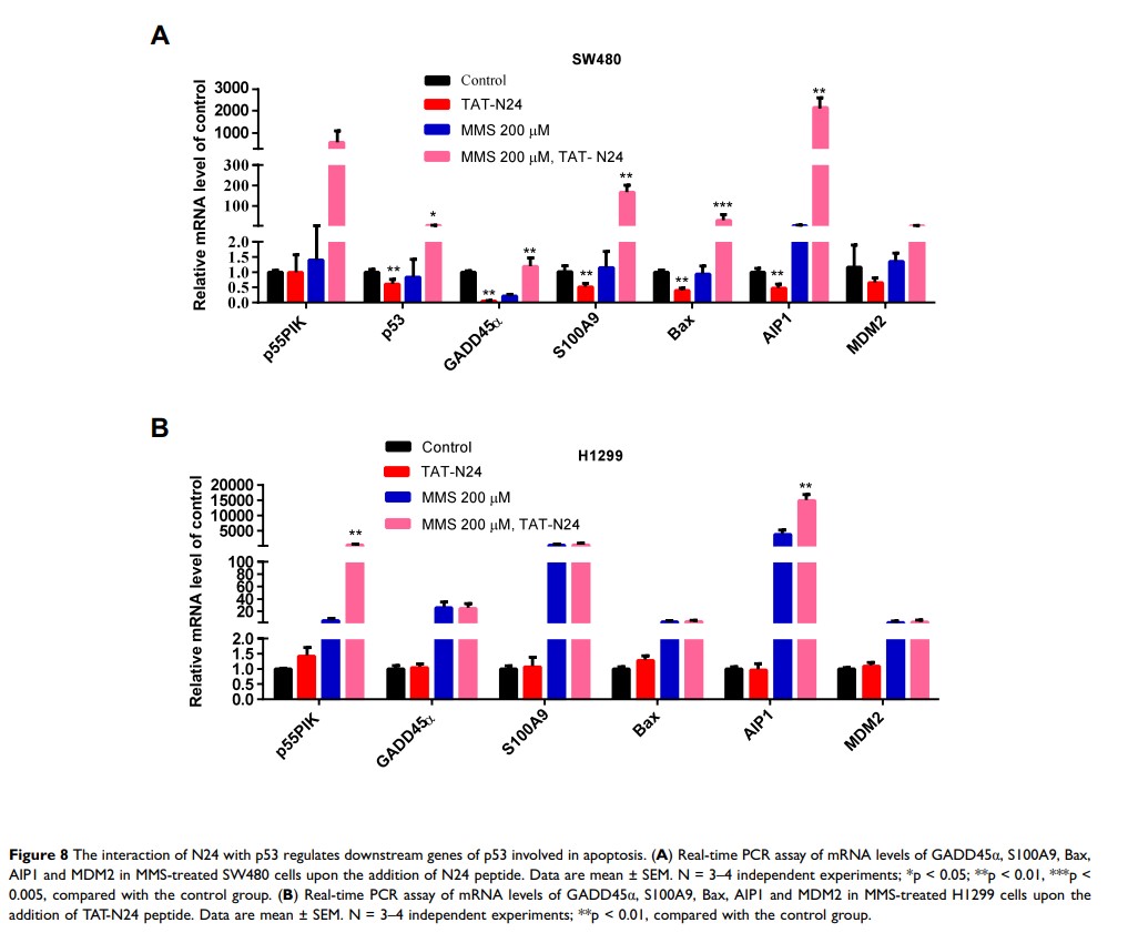 Figure 8 The interaction of N24 with p53 regulates downstream genes of...