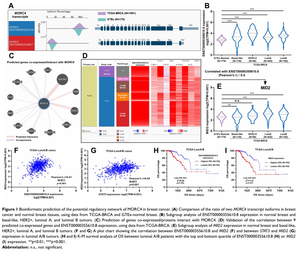 Figure 1 Bioinformatic prediction of the potential regulatory network of...