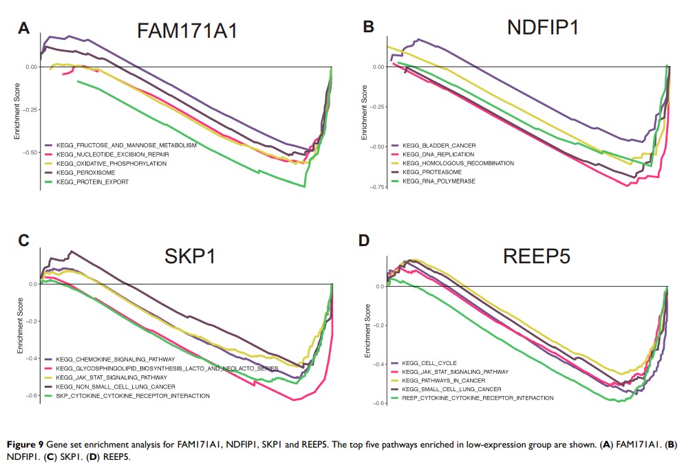 Figure 9 Gene set enrichment analysis for FAM171A1, NDFIP1, SKP1 and...