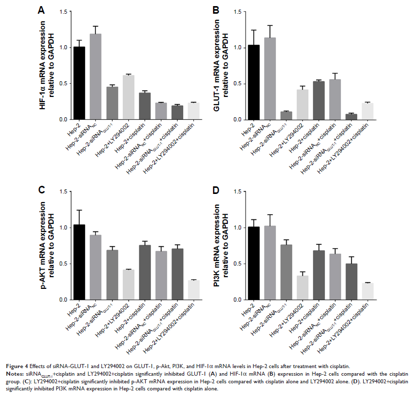 Figure 4 Effects of siRNA-GLUT-1 and LY294002 on GLUT-1, p-Akt, PI3K, and... Figure 4 Effects of siRNA-GLUT-1 and LY294002 on GLUT-1, p-Akt, PI3K, and...
