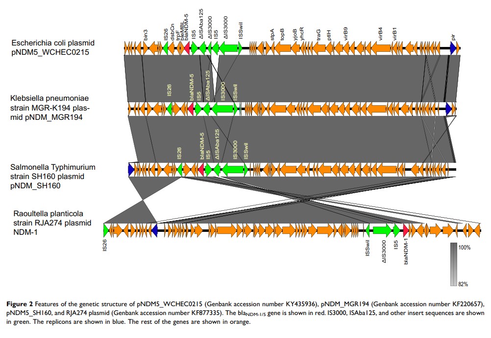 Figure 2 Features of the genetic structure of...