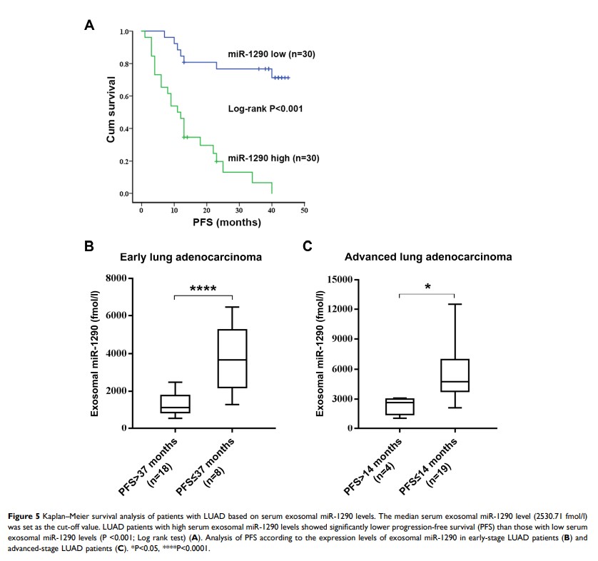 Figure 5 Kaplan–Meier survival analysis of patients with LUAD based on... Figure 5 Kaplan–Meier survival analysis of patients with LUAD based on...